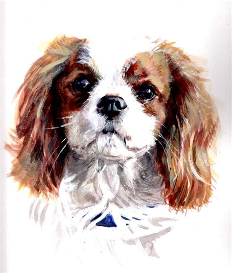 Pet Portraits