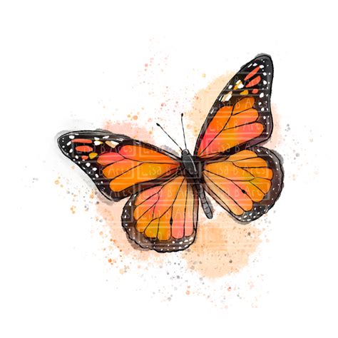 Butterfly Watercolor Clip Art Collection – Lisa B Clip Art
