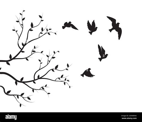 Flying birds silhouettes and branch illustration isolated on white background, vector. Natural ...