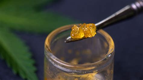 The Best Dab Rigs You Can Buy in 2020 | Wikileaf