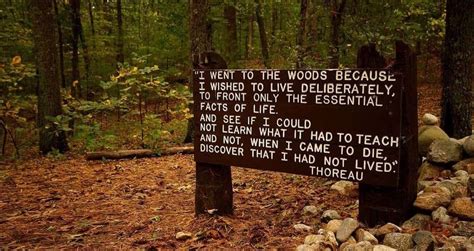 24 Henry David Thoreau Quotes That Will Change Your Worldview