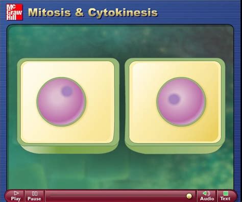 Mitosis and cytokinesis animation Dna Genetics, Cell Cycle, Project 8, Mitosis, Mcgraw Hill, Aqa ...