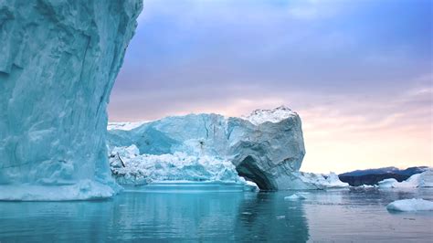 11 Fun Facts About Greenland : Nordic Visitor