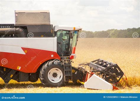 Harvester Machine To Harvest Wheat Field Working Stock Image - Image of combine, food: 125322893