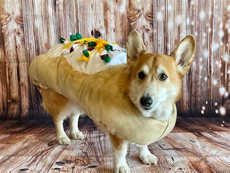 Fully Loaded BAKED POTATO Dog or Cat Costume - Etsy