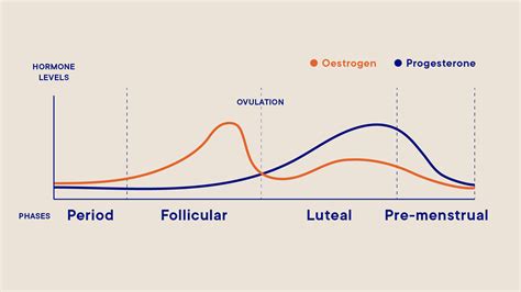 How To Detect Your Luteal Phase - Gameclass18