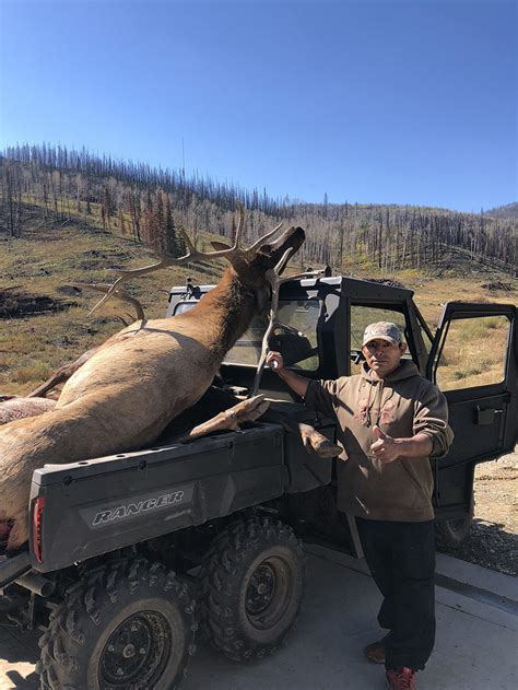 Colorado Elk Hunting Season 2024 - Dacey Maxine