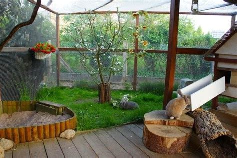 Gallery of recommended rabbit housing | Rabbit hutch photos | Pictures ...