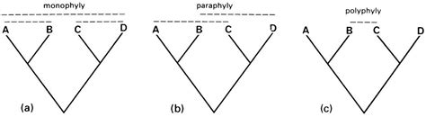 Systematic methods / The Insects