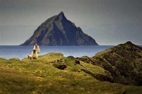 About the Great Blasket Island - Great Blasket Island