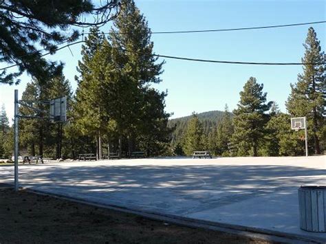 The Truckee River Regional Park offers 62 acres of Park Facilities!