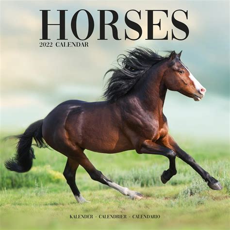 Horses Calendar | Animal Calendars | Pet Prints Inc