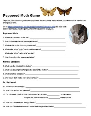 Evolution and the Peppered Moth Game