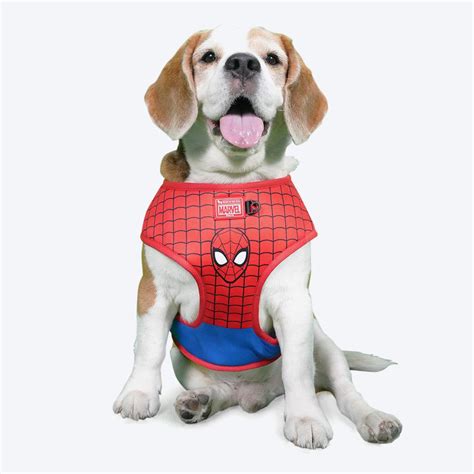 Marvel Legends Spiderman Dog Costume | ubicaciondepersonas.cdmx.gob.mx