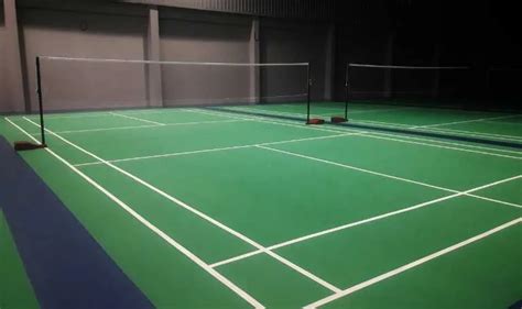 Nebunie crizantemă încântat de cunoștință badminton court dimensions Knead panou A desena