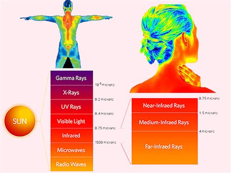 Far Infrared Rays & FIR Sauna | bioamethystmat