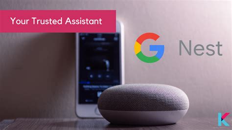 Google Nest Mini [Review and HOW TO Setup Guide]