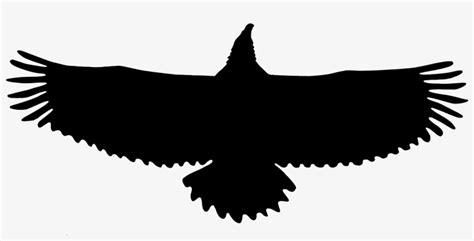 Bald Eagle - Silhouette Eagle - 2218x1018 PNG Download - PNGkit