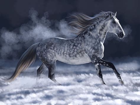 Dapple Grey Horse: Info, Characteristics, and FAQs, dapple gray horse HD wallpaper | Pxfuel