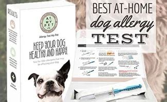 Dog Allergy Testing: How Much Does It Cost And Is It Worth It? We ...