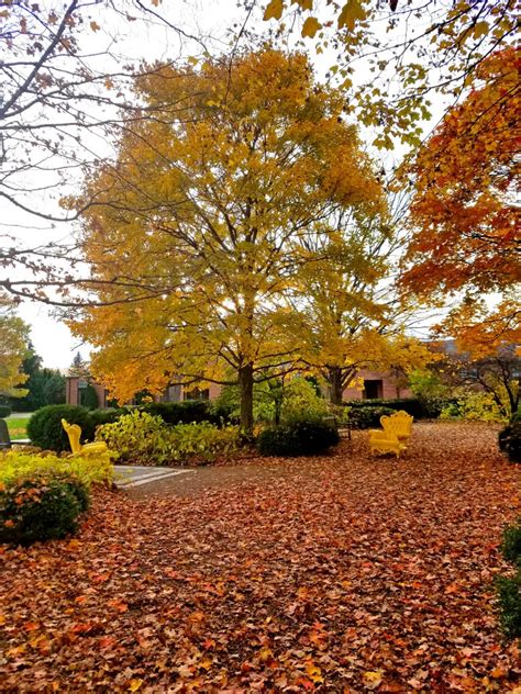 Cantigny Park in Fall – TAYONTHEMOVE