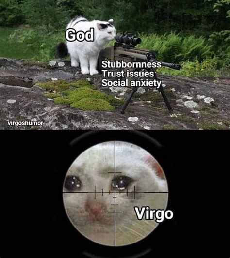 27 Funny And Relatable Virgo Memes That Are Basically Facts - Zodiac Memes