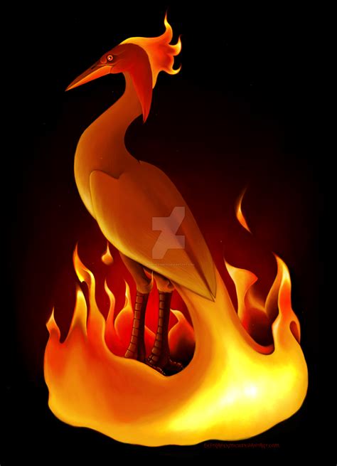 Fire Phoenix by BestrafexMich on DeviantArt