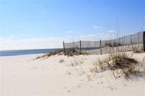 How do sand fences help beach restoration? - Leave Only Footprints