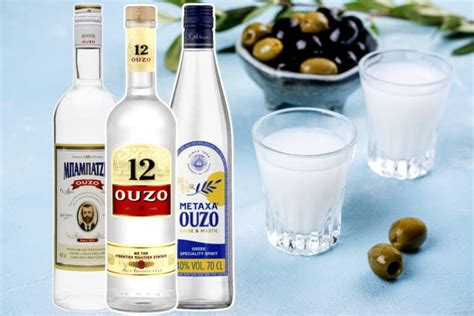 12 Best Ouzo Cocktails: Modern Mixology | Drinks Geek