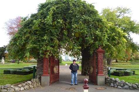 Witchwae on the Move: Ballarat Botanical Gardens