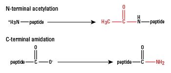 Acetylation - Creative Proteomics