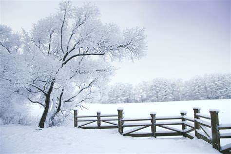 Winter Landscape in The Smoky Mountains