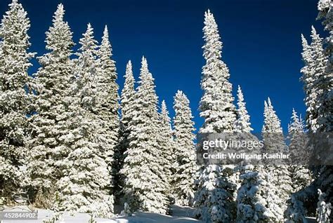 89 Gallatin National Forest Stock Photos, High-Res Pictures, and Images - Getty Images