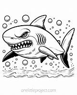 Types Of Sharks Coloring Pages Pdf  Infoupdateorg sketch template