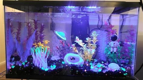 27 Small Fish Tank Ideas - Complement Your Home With Style!