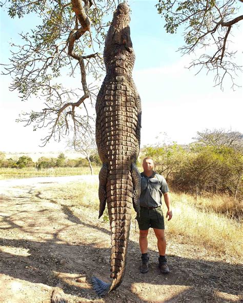 South Africa – Boschnel Safaris – 7 Day Crocodile Hunt