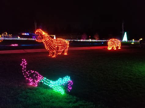 Zoo Lights