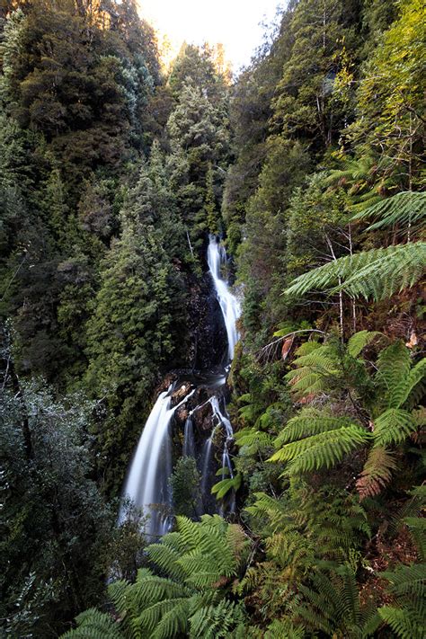 Waratah Falls