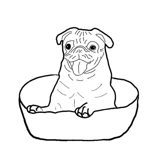 Boxer Puppy Coloring Pages at GetColorings.com | Free printable colorings pages to print and color