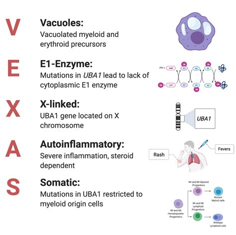 VEXAS Syndrome: A newly discovered disease and a call to action - Samuel J. Magaziner