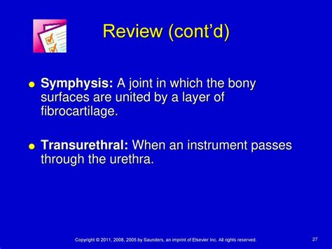 Chapter 4 Prefixes Parathyroid glands Adrenal glands Prolapse - ppt ...