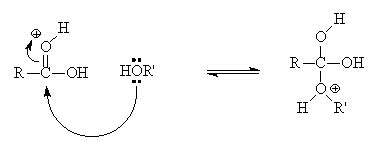 Formation mechanism