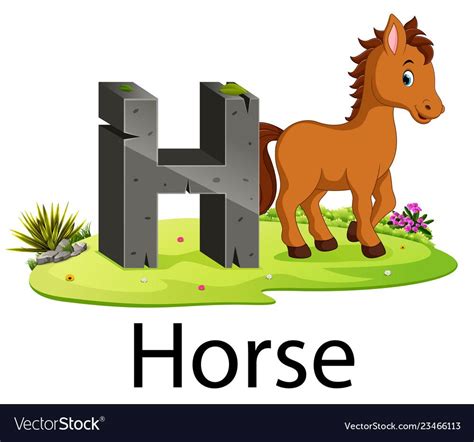 Cute zoo animal alphabet h for horse Royalty Free Vector | Alphabet ...