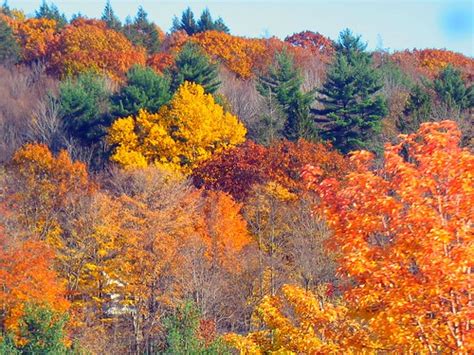 Pennsylvania Autumn | Seen on a Sunday drive. "There is no s… | Flickr