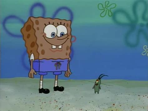 YARN | Is that an all-over tan? | SpongeBob SquarePants (1999) - S01E18 ...