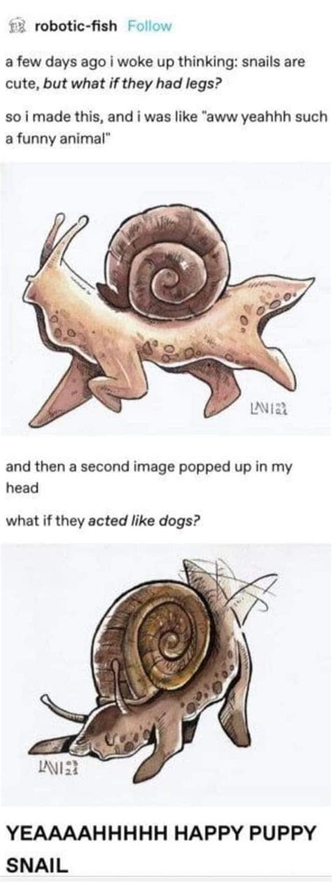 two pictures of snails with caption that reads, what do they say? and ...