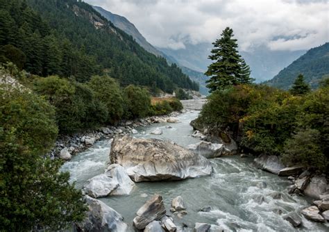 River of Life by World Travel Photos