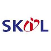 What does SKIL do? Its brands and products