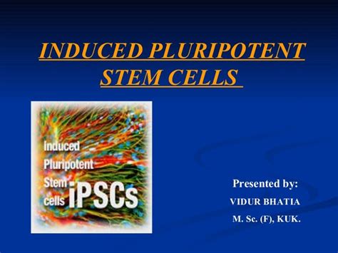 Induced pluripotent stem cells