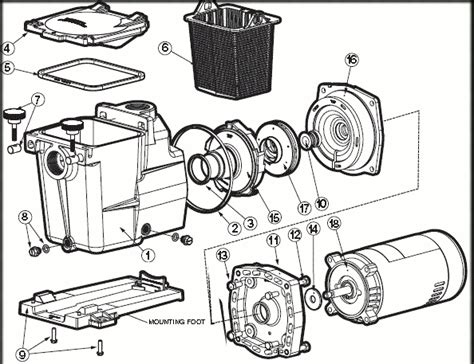 Hayward Super Pump Replacement parts